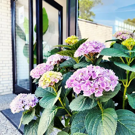 Apartment Strandnahe Moderne Mit Garten
